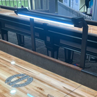 Champion Shuffleboard Light Set